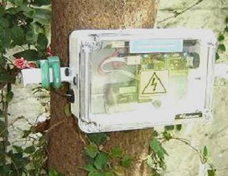 DENDROLOGGER DENDROLOGGER
