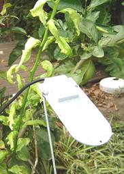 Sensor de hoja mojada